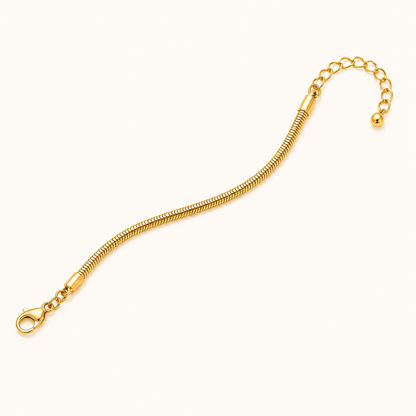 Golden Snake Chain Anklet