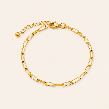 Golden Link Chain Anklet